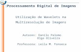Processamento Digital de Imagens Utilização de Wavelets na Multiresolução de Imagens Autores: Danilo Palomo Olga Oliveira Professora: Leila M. Fonseca.
