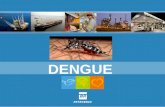 DENGUE. A dengue é um dos principais problemas de saúde pública no mundo. A Organização Mundial da Saúde (OMS) estima que entre 50 a 100 milhões de pessoas.