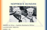 NOPRED E AVADAN ANDRÉ Có Silva – Capitão Bombeiro Militar Coordenador Adjunto CEDEC- ES.