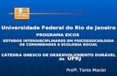Universidade Federal do Rio de Janeiro PROGRAMA EICOS ESTUDOS INTERDISCIPLINARES EM PSICOSSOCIOLOGIA DE COMUNIDADES E ECOLOGIA SOCIAL CÁTEDRA UNESCO DE.