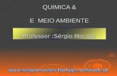 QUIMICA & E MEIO AMBIENTE Professor :Sérgio Moraes.