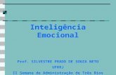 Inteligência Emocional Prof. SILVESTRE PRADO DE SOUZA NETO UFRRJ II Semana de Administração de Três Rios.