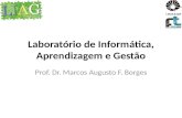 Laboratório de Informática, Aprendizagem e Gestão Prof. Dr. Marcos Augusto F. Borges.