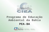 Programa de Educação Ambiental da Bahia PEA-BA.