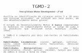 TGMD-2 Test of Gross Motor Development – 2ª ed Auxilia na identificação de crianças entre 3 e 10 anos que estejam atrasadas, em relação aos seus pares,
