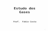 Estudo dos Gases Prof. Fabio Costa 1. SUMÁRIO 1.Características dos gases; 2.Gases Ideais – Definição; 3.Introdução à teoria cinética dos gases; 4.Leis.