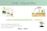 1 Maio - 2012 CICLO BIOGEOQUÍMICOS – Parte 2 ETEC TIQUATIRA Prof. José Barbosa Leite Filho Prof. Marlon Cavalcante Maynart Química Ambiental.