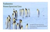 Arvore de Diretório Permissões de Acesso No Linux há três modelos de controle de acesso básicos: Read, Write e Execution. Veja um exemplo.