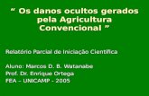 Os danos ocultos gerados pela Agricultura Convencional Os danos ocultos gerados pela Agricultura Convencional Relatório Parcial de Iniciação Científica