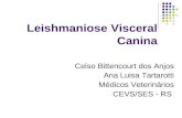Leishmaniose Visceral Canina Celso Bittencourt dos Anjos Ana Luisa Tartarotti Médicos Veterinários CEVS/SES - RS.