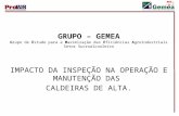 MENU GRUPO – GEMEA Grupo de Estudo para a Maximização das Eficiências Agroindustriais Setor Sucroalcooleiro IMPACTO DA INSPEÇÃO NA OPERAÇÃO E MANUTENÇÃO.