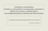 O direito a convivência familiar e comunitária na promoção, proteção e defesa da criança e adolescente e sua implementação no Estado de Mato Grosso Os.