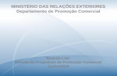 MINISTÉRIO DAS RELAÇÕES EXTERIORES Departamento de Promoção Comercial Ricardo Leal Divisão de Programas de Promoção Comercial Junho/2009.