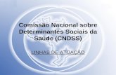 Comissão Nacional sobre Determinantes Sociais da Saúde (CNDSS) LINHAS DE ATUAÇÃO.