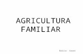 Dalcio Caron AGRICULTURA FAMILIAR. Dois exemplos de estudos econômicos sobre as funções da Agricultura no Brasil I - Schuh, Eduard. O Desenvolvimento.