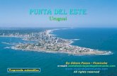 Progressão automática Vamos passear novamente e desta feita nosso destino é Punta del Este, no extremo sul do Uruguai...