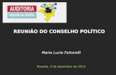 Maria Lucia Fattorelli Brasília, 3 de dezembro de 2013 REUNIÃO DO CONSELHO POLÍTICO.