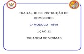TRABALHO DE INSTRUÇÃO DE BOMBEIROS 1º MODULO - APH LIÇÃO 11 TRIAGEM DE VITIMAS.