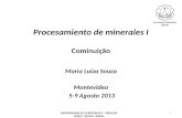 Procesamiento de minerales I Cominuição Maria Luiza Souza Montevideo 5-9 Agosto 2013 1 UNIVERSIDADE DE LA REPUBLICA – URUGUAY UFRGS - DEMIN - BRASIL.