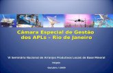 Câmara Especial de Gestão dos APLs – Rio de Janeiro VI Seminário Nacional de Arranjos Produtivos Locais de Base Mineral FIRJAN Outubro / 2009.