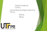Trabalho Gestão de Carreira Universidade Tecnológica Federal do Paraná Stricto Sensu.