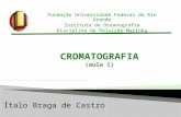 Fundação Universidade Federal do Rio Grande Instituto de Oceanografia Disciplina de Poluição Marinha Ítalo Braga de Castro CROMATOGRAFIA (aula 1)