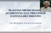 PLANTAS MEDICINAIS E ALIMENTOS QUE PREVINEM O ENVELHECIMENTO Dra. Henriqueta Tereza do Sacramento.