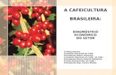 A CAFEICULTURA BRASILEIRA: DIAGNÓSTICO ECONÔMICO DO SETOR Colaboradores: Conselho Nacional do Café- Presidente Gilson Ximenes Comissão Nacional do Café.