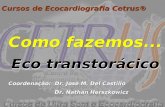 Cursos de Ecocardiografia Cetrus® Como fazemos... Como fazemos... Coordenação: Dr. José M. Del Castillo Dr. Nathan Herszkowicz Coordenação: Dr. José M.