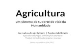 Agricultura um sistema de suporte de vida da Humanidade Pedro Aguiar Pinto (ISA/UTL) Jornadas do Ambiente | Sustentabilidade Jornadas do Ambiente | Sustentabilidade.