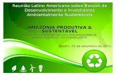 Reunião Latino Americana sobre Bancos de Desenvolvimento e Investidores Ambientalmente Sustentáveis AMAZÔNIA PRODUTIVA & SUSTENTÁVEL A Sustentabilidade.