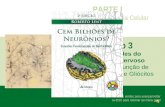 Clique nas setas verdes para avançar/voltar ou ESC para retornar ao menu geral PARTE I Neurociência Celular Capítulo 3 As Unidades do Sistema Nervoso.