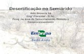 Desertificação no Semiárido Iêdo Bezerra Sá Engº Florestal - D.Sc. Pesq. na área de Sensoriamento Remoto e Geoprocessamento.