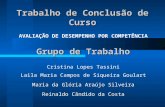 Trabalho de Conclusão de Curso AVALIAÇÃO DE DESEMPENHO POR COMPETÊNCIA Grupo de Trabalho Cristina Lopes Tassini Laila Maria Campos de Siqueira Goulart.