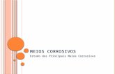 M EIOS C ORROSIVOS Estudo dos Principais Meios Corrosivos.
