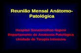 Reunião Mensal Anátomo- Patológica Hospital Sanatorinhos Itapevi Departamento de Anatomia Patológica Unidade de Terapia Intensiva.