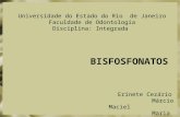 Universidade do Estado do Rio de Janeiro Faculdade de Odontologia Disciplina: Integrada Erinete Cezário Márcio Maciel Maria Eurydice Roberta Mendonça.