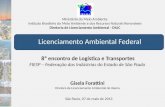 Ministério do Meio Ambiente Instituto Brasileiro do Meio Ambiente e dos Recursos Naturais Renováveis Diretoria de Licenciamento Ambiental - DILIC Gisela.