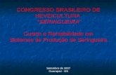 CONGRESSO BRASILEIRO DE HEVEICULTURA “SERINGUEIRA” Custos e Rentabilidade em Sistemas de Produção de Seringueira Setembro de 2007 Guarapari - ES.