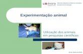 Experimentação animal Utilização dos animais em pesquisas científicas Mestrado Integrado em Medicina Veterinária Disciplina de Deontologia 18 de Junho.