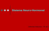 Sistema Neuro-Hormonal Ciências Naturais – 9º ano.