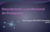 Por Grupo PET/FEF-Unicamp 2012. O que é Pedagogia?  “É a área que estuda a teoria e a prática da Educação e trata dos princípios e métodos de ensino,