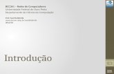 BCC361 2013/01 Introdução BCC361 – Redes de Computadores Universidade Federal de Ouro Preto Departamento de Ciência da Computação Prof. Saul Delabrida.
