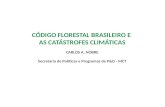 CÓDIGO FLORESTAL BRASILEIRO E AS CATÁSTROFES CLIMÁTICAS CARLOS A. NOBRE Secretaria de Políticas e Programas de P&D - MCT.