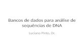 Bancos de dados para análise de sequências de DNA Luciano Pinto, Dr.