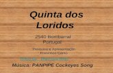 Fotos de Dias dos Reis Quinta dos Loridos 2540 Bombarral Portugal Pesquisa e Apresentação Francisco Canto Música: PANPIPE Cockeyes Song.