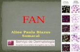 Aline Paula Biazus Somacal.  FAN (fator antinuclear) = AAN (anticorpos antinucleares) = ANA = anticorpo antinuclear = PAAC (pesquisa de anticorpos contra.