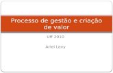 Uff 2010 Ariel Levy Processo de gestão e criação de valor.
