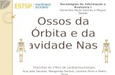 Ossos da Órbita e da Cavidade Nasal Tecnologias de Informação e Anatomia I Docentes Paulo Gomes e Miguel Saúde Discentes do 1 ºAno de Cardiopneumologia.