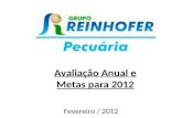 Avaliação Anual e Metas para 2012 Fevereiro / 2012.